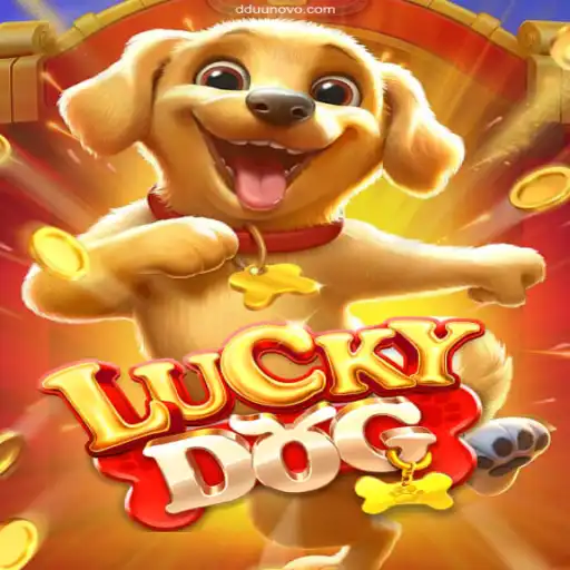 LuckyDog: A Journey Through Brazilian Online Gaming